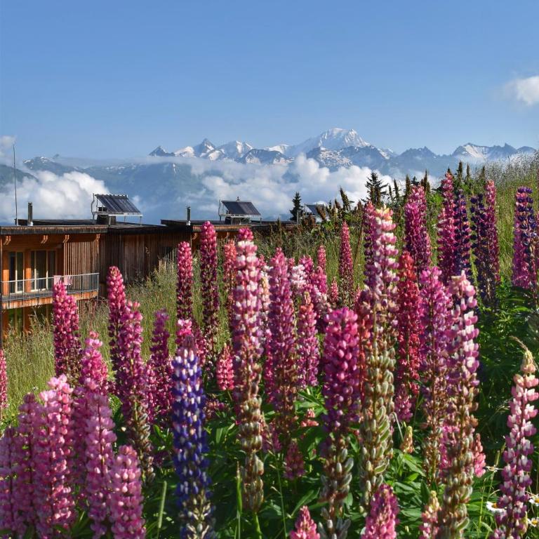 Les chalets de L'Aiguille Grive - Chalet 3 Chambres - 9