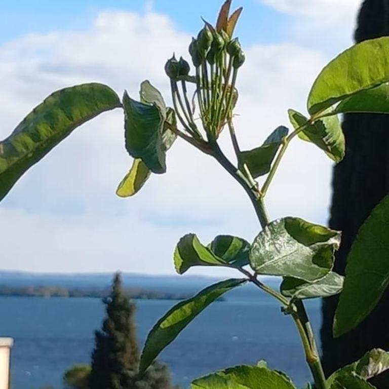 Casa 33 - Casa Vacanze con 3 Camere da Letto - 29