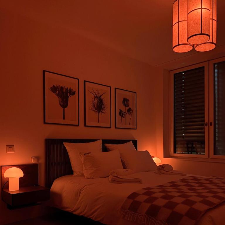 Serenity 77 - 100 m2 designed by an architect - Geneva - Appartement 2 Chambres - 12