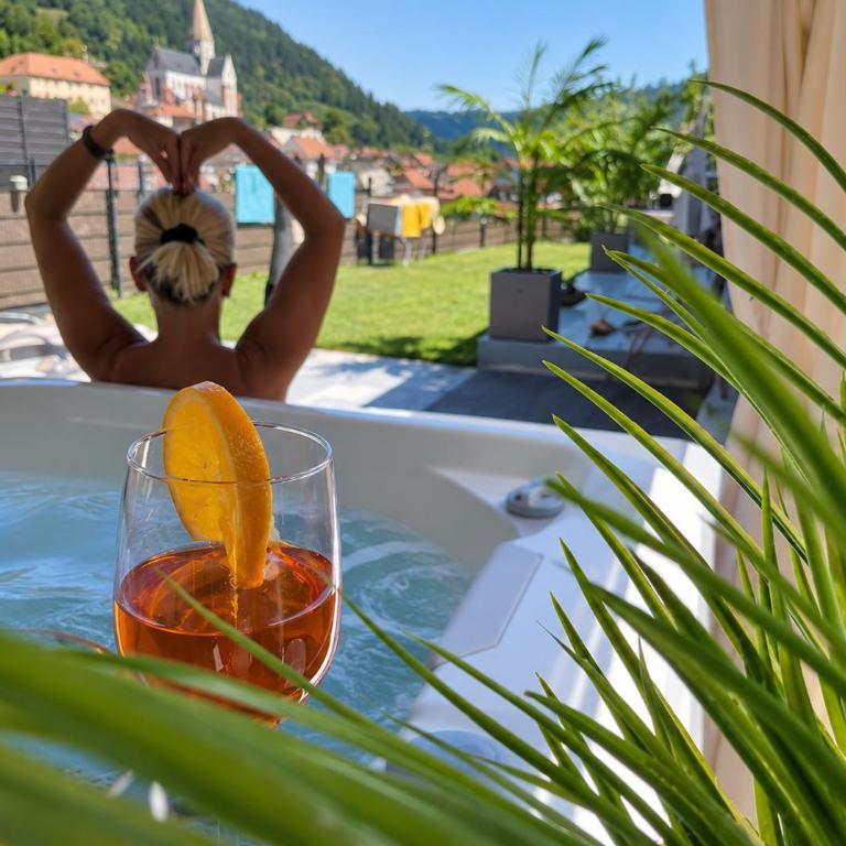 Dreamliner Murau Bungalow mit Whirlpool und Garten - Maison 2 Chambres - 4