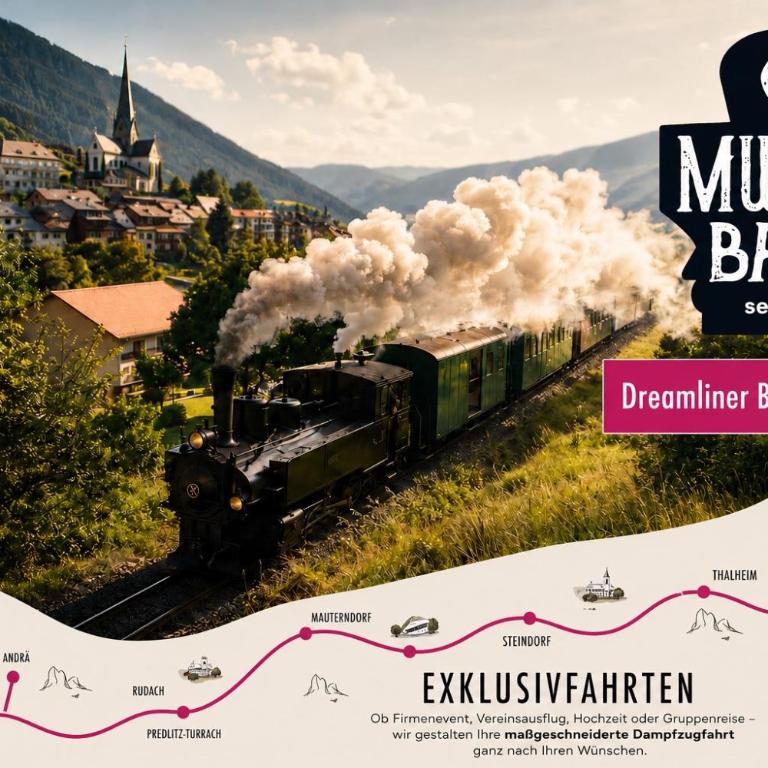 Dreamliner Murau Bungalow mit Whirlpool und Garten - Maison 2 Chambres - 12