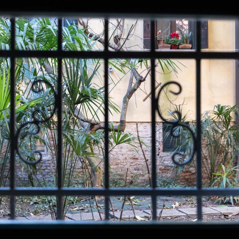 minifurli - Appartement 1 Chambre - 5