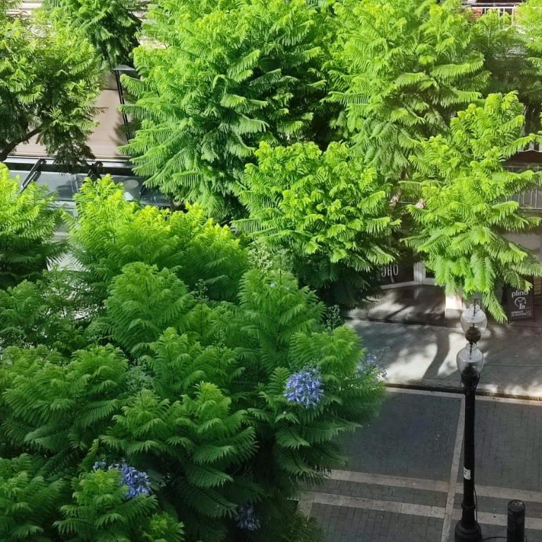 La Rambla Vidal, a 100 metres de la platja - Apartamento de 1 dormitorio - 6