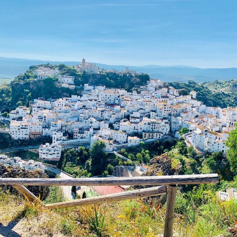 Casares Beach Golf Apartment - Apartamento Deluxe de 2 dormitorios con vistas al jardín - 10