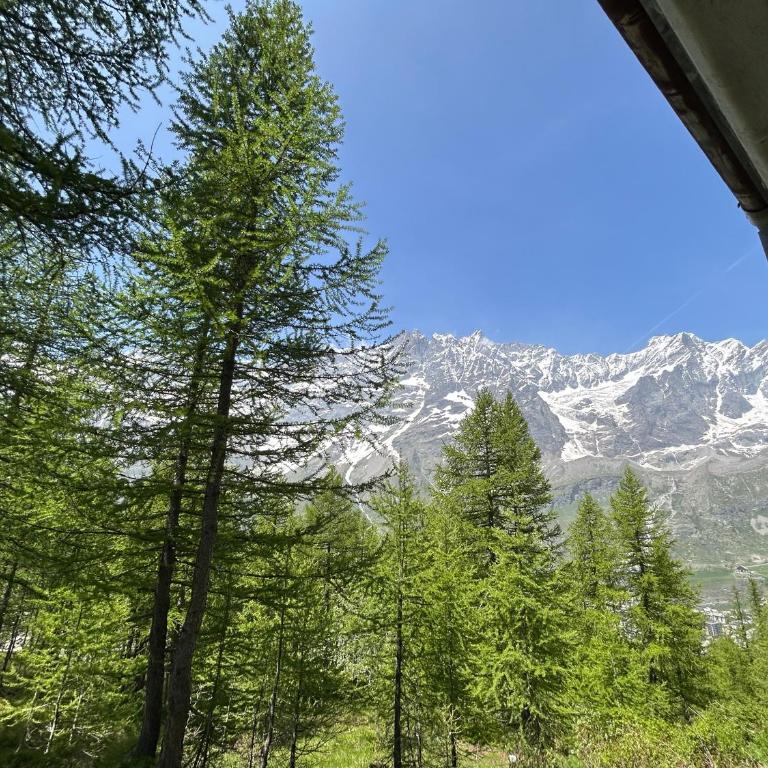 Cervinia Snow Dream Apartments - Apartment with Mountain View - Apartment n.810 - 20