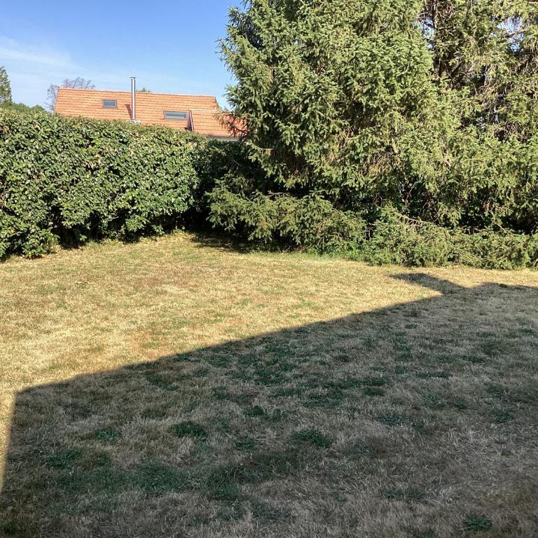 Maison calme LACANAU - Two-Bedroom House - 11