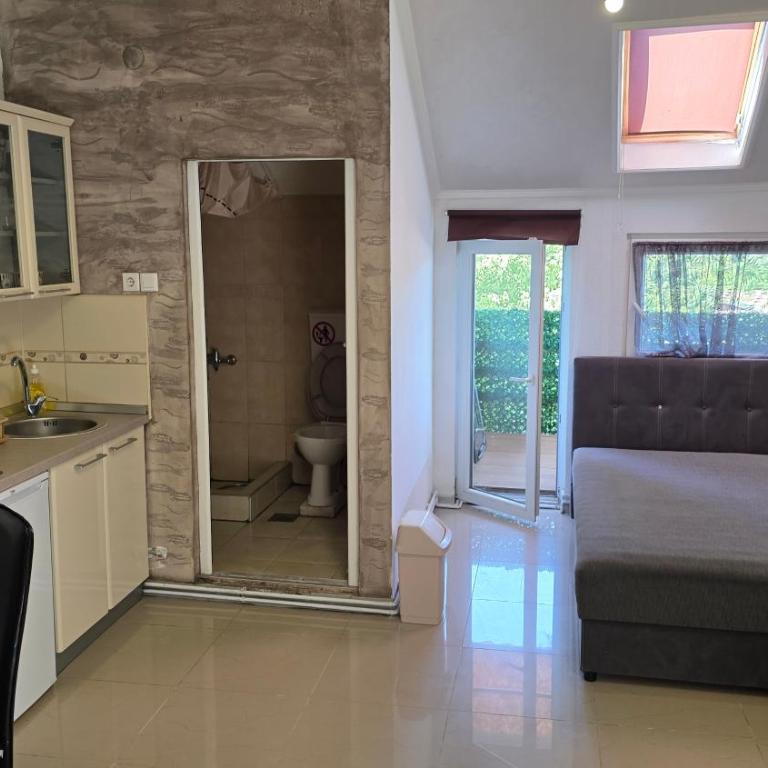 Apartman Comfort Sokobanja - One-Bedroom Apartment - 10