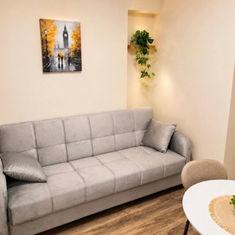 Apartmani Sjenjak Prestige - Apartman - 4