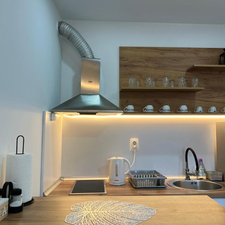 Apartments Aura - Apartman sa 1 Spavaćom Sobom - 9