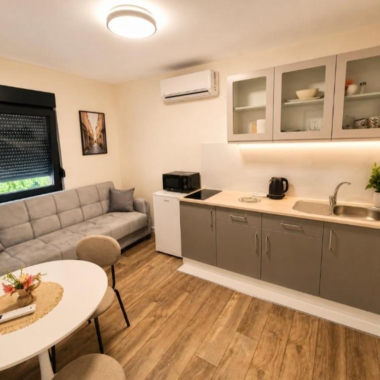 Apartmani Sjenjak Prestige - Superior Apartman sa Pogledom na Grad - 9