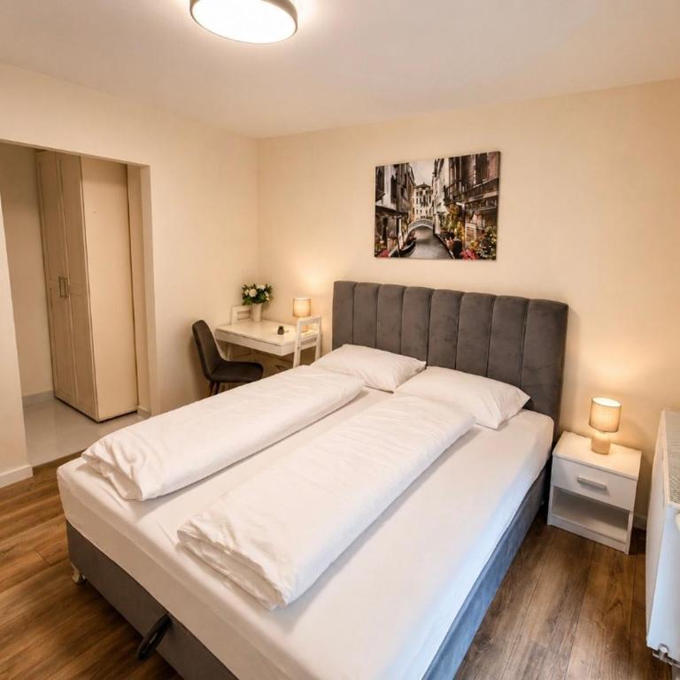 Apartmani Sjenjak Prestige - Superior Apartman sa Pogledom na Grad - 10