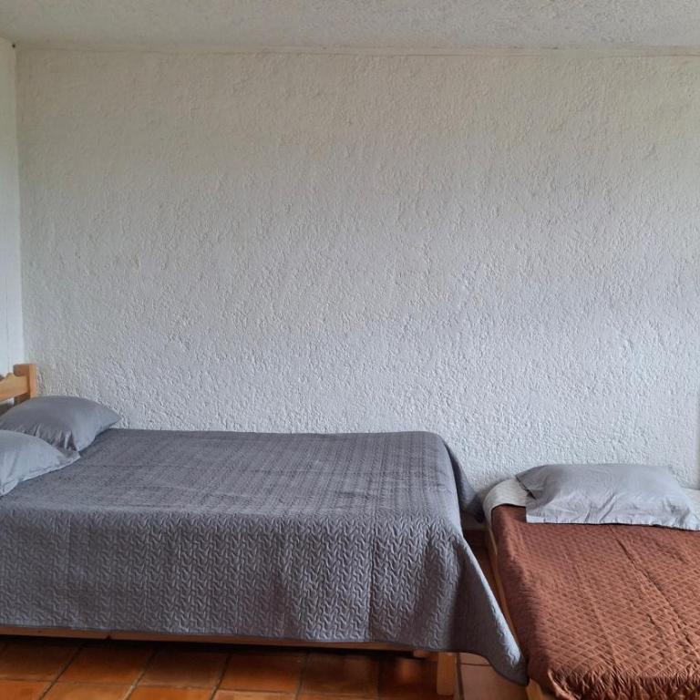 Casa Campestre para Familias y Grupos en La Mesa de los Santos - Villa con vistas al jardín - 18