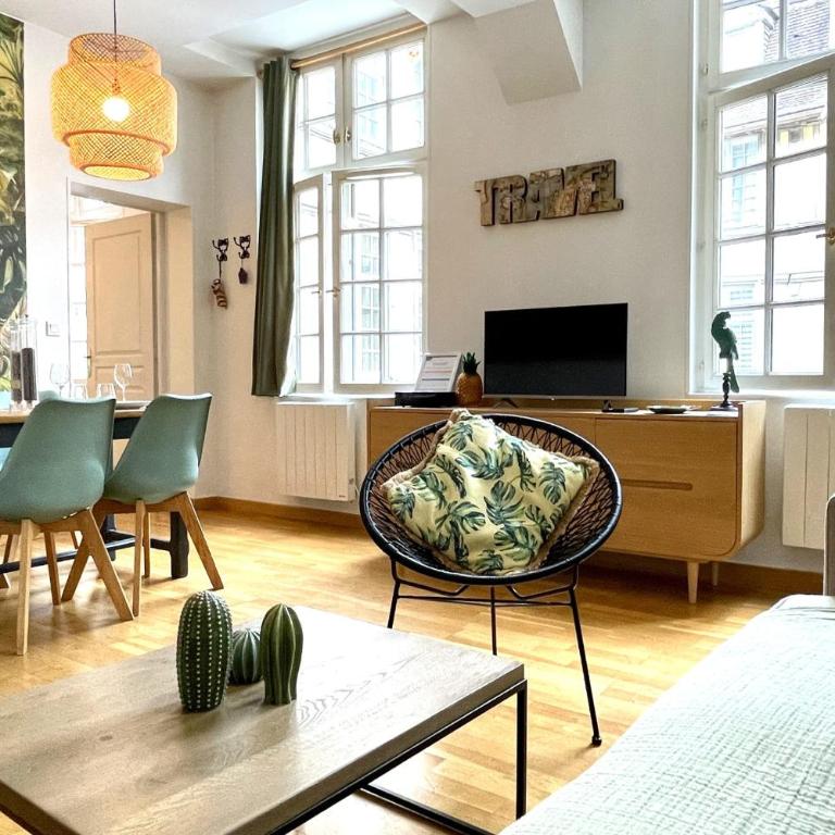 Hôtel Turgot - Ancien hôtel particulier - Lumineux - Appartement - 9