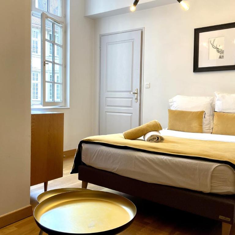 Hôtel Turgot - Ancien hôtel particulier - Lumineux - Appartement - 10
