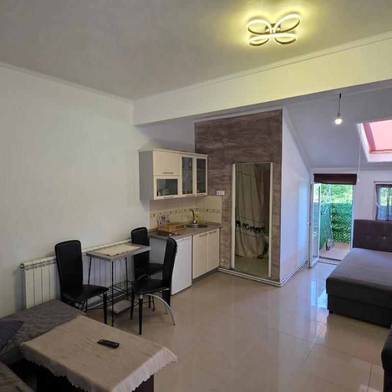 Apartman Comfort Sokobanja - One-Bedroom Apartment - 2