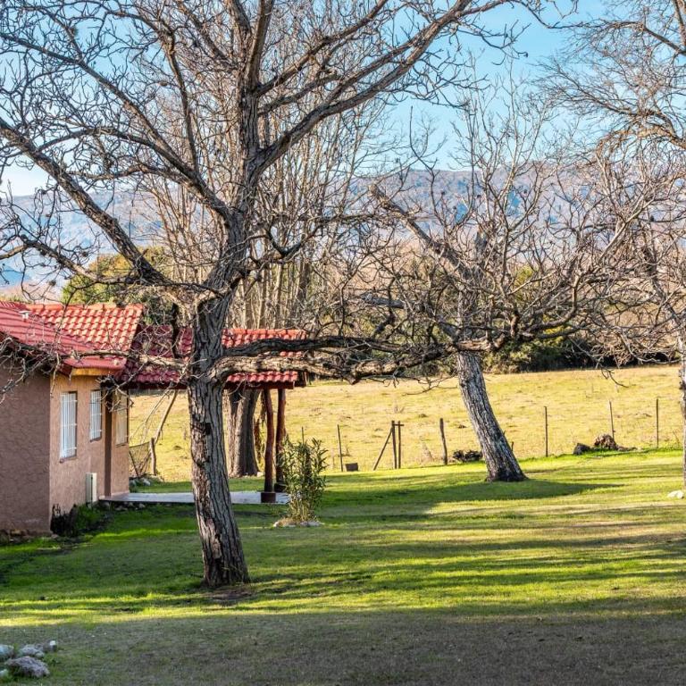 Entre Hileras - Las Rabonas - Casa de 2 dormitorios - 6