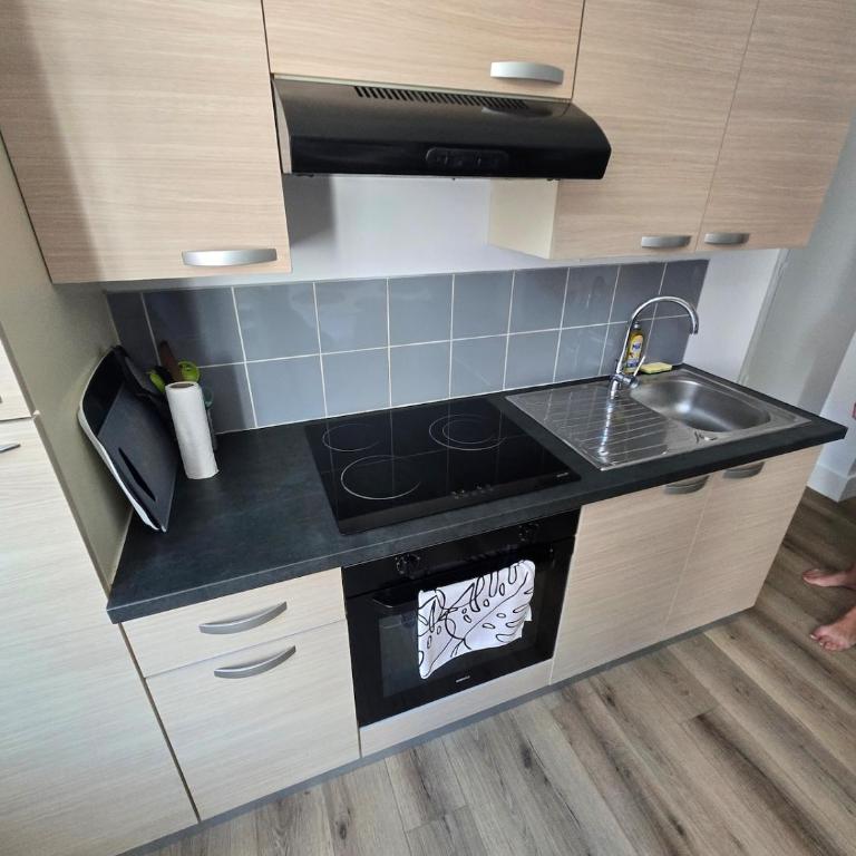 Adélise T2 cosy et lumineux au cœur de Malo-les-Bains - Appartement 1 Chambre - 14