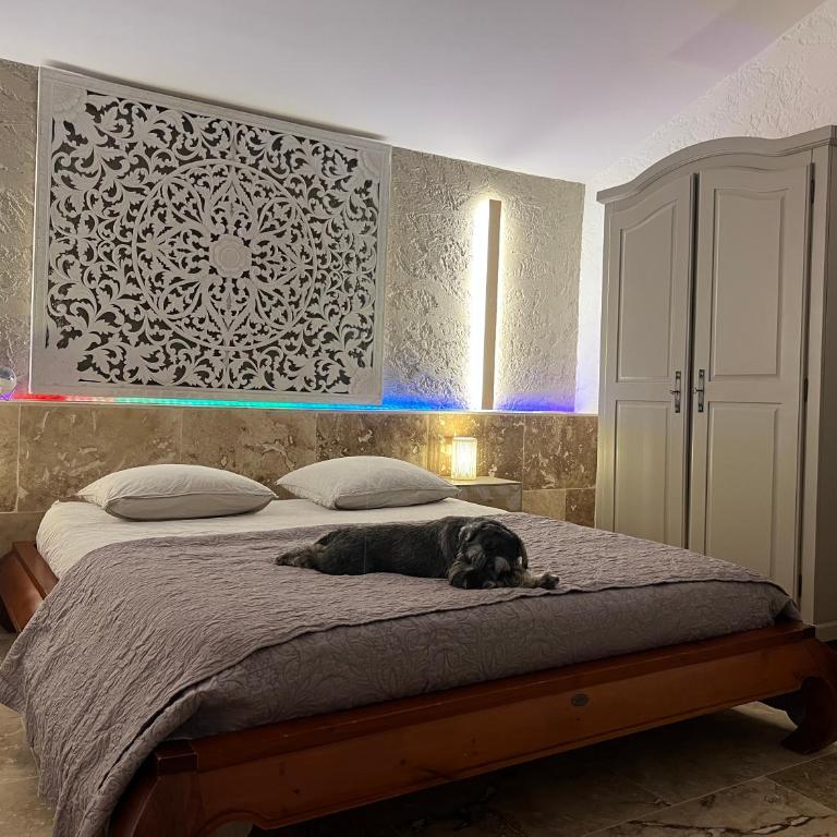 Grand domaine piscine spa sauna Greoux les bains bastide du bonheur st donat - Villa - 9