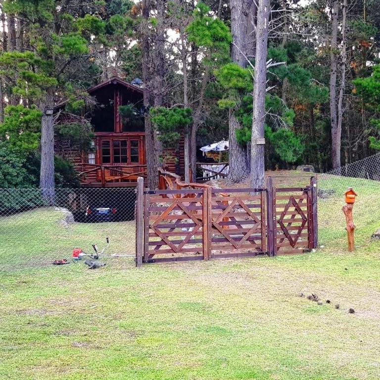 Lupita - Casa de 4 dormitorios - 29
