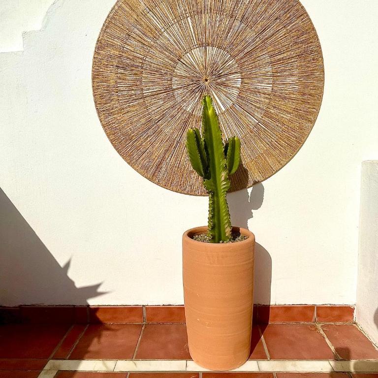 Appartement lumineux avec très grande terrasse ensoleillée - Cala de Mijas - Appartement 1 Chambre avec Terrasse - 18