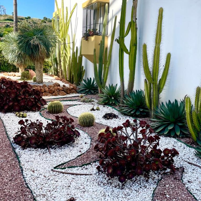 Appartement lumineux avec très grande terrasse ensoleillée - Cala de Mijas - Appartement 1 Chambre avec Terrasse - 50