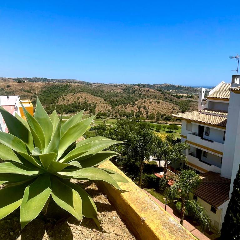 Appartement lumineux avec très grande terrasse ensoleillée - Cala de Mijas - Appartement 1 Chambre avec Terrasse - 17
