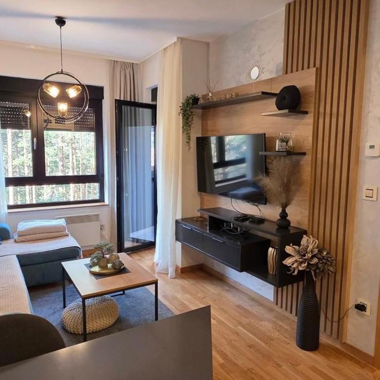 Leo Pine Lux Apartments - Apartman sa 1 Spavaćom Sobom - 3