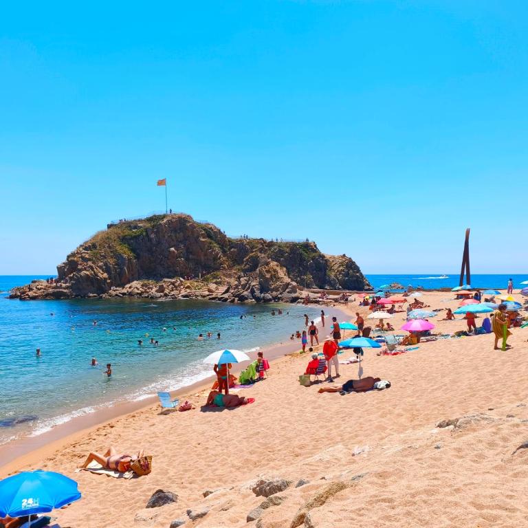 Apartamento con terraza en Blanes, Costa Brava - Appartement 1 Chambre - 35