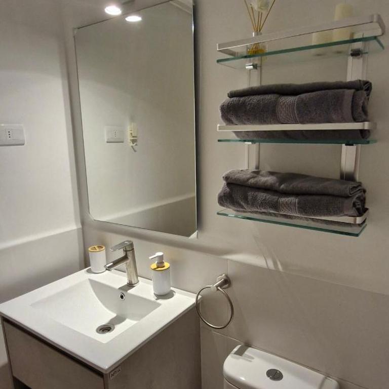 Parque O'Higgins, parking FREE, Show y descanso - Apartamento de 1 dormitorio - 17