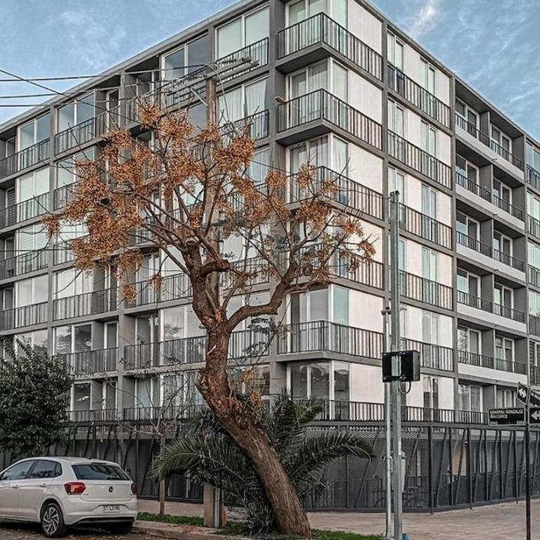 Parque O'Higgins, parking FREE, Show y descanso - Apartamento de 1 dormitorio - 26