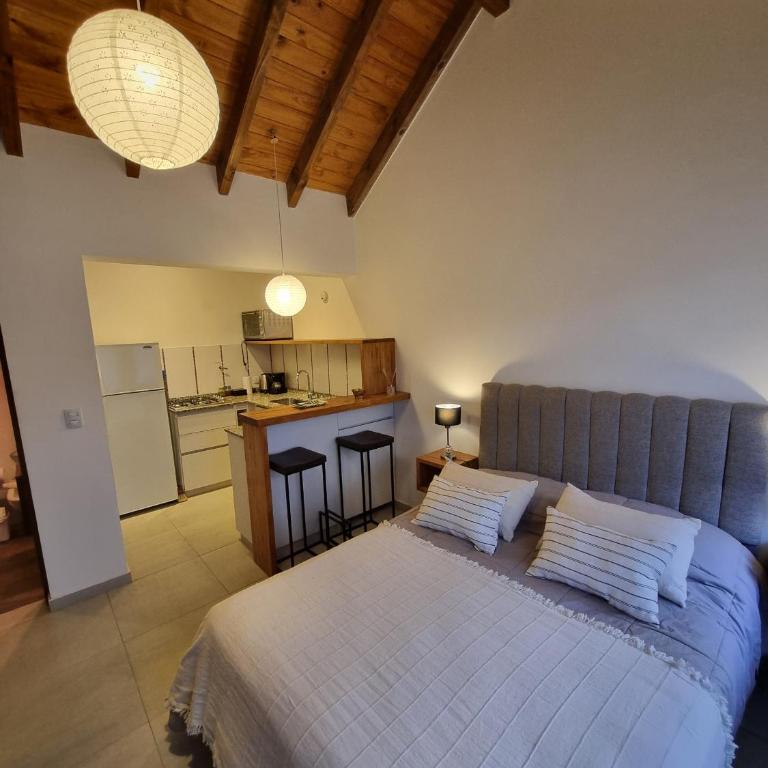 Aluen - Andarlibre - Apartamento Estudio - 3