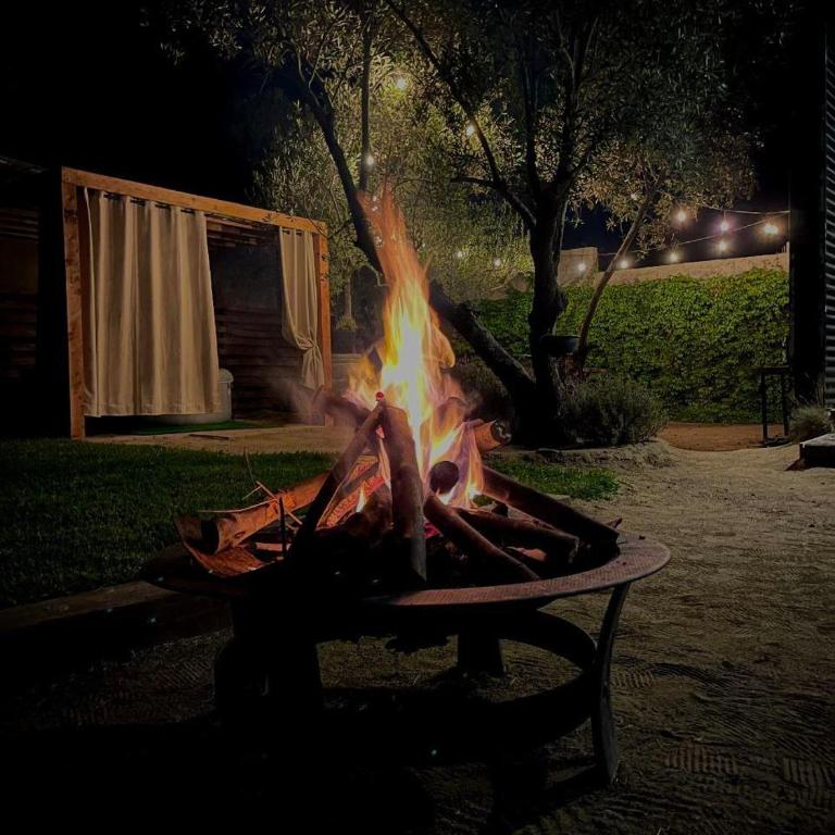 Casa Barta Valle de Guadalupe Jacuzzi , Asador, Fogatero Privado - One-Bedroom House - 10
