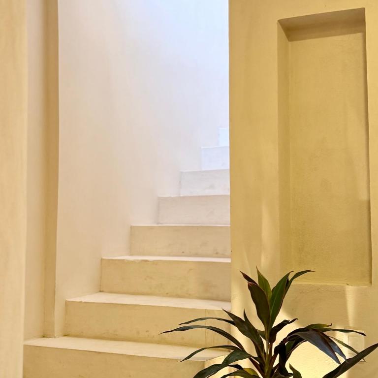 Casa Armonía - Maison 3 Chambres - 43