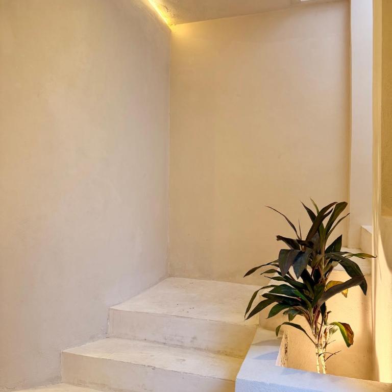 Casa Armonía - Maison 3 Chambres - 38