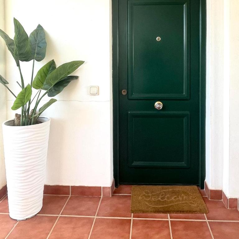Appartement lumineux avec très grande terrasse ensoleillée - Cala de Mijas - Appartement 1 Chambre avec Terrasse - 56