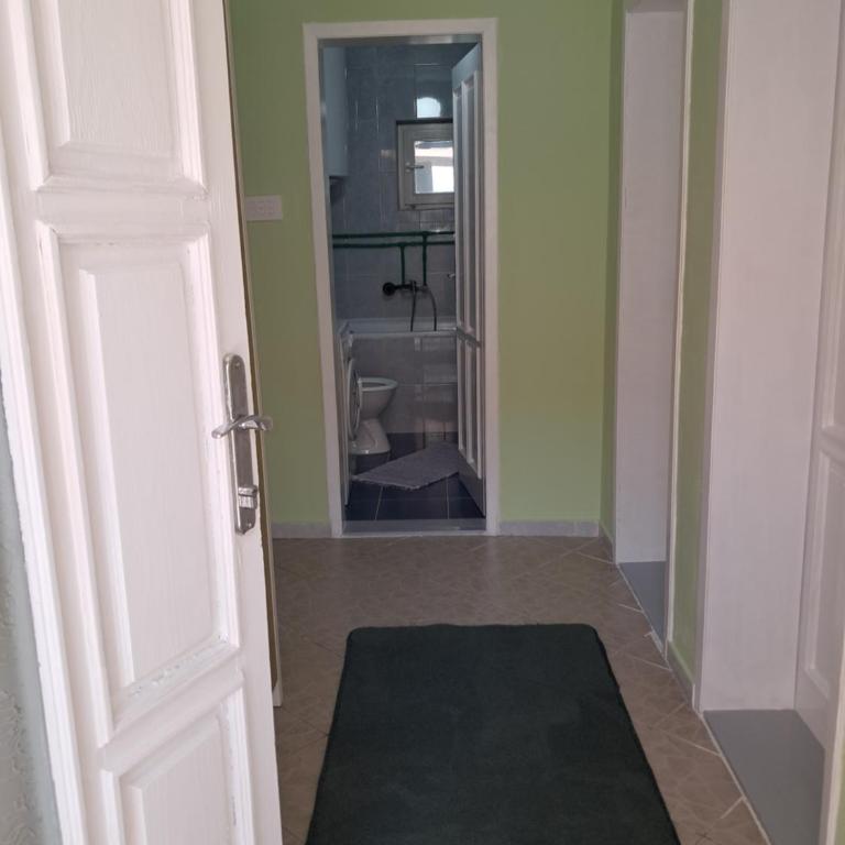 Vila Milojević - Appartement 2 Chambres - 3