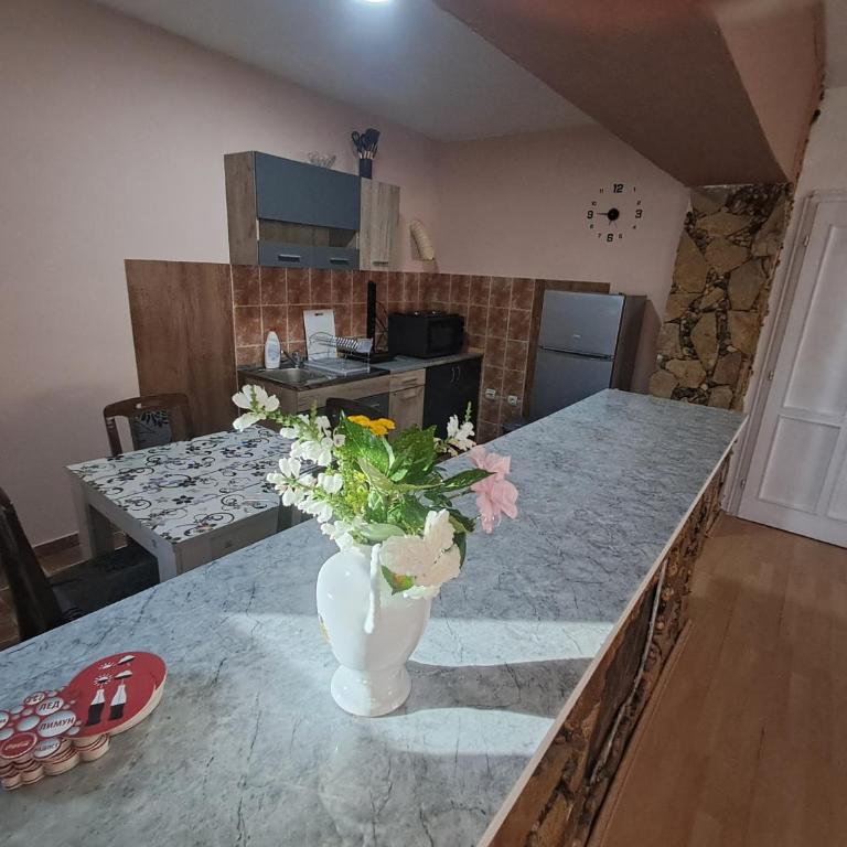 Vila Milojević - Appartement 2 Chambres - 4
