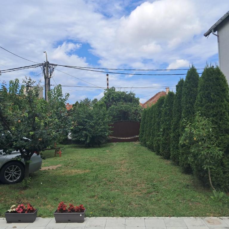 Vila Milojević - Appartement 2 Chambres - 10