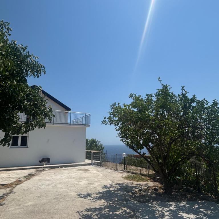 Azure sea view - Appartamento con 1 Camera da Letto - 22