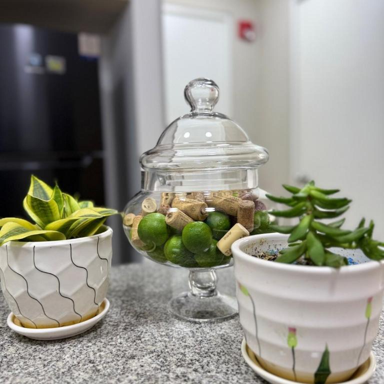 Juanda Apartamentos - Apartamento Estándar de 2 dormitorios - 38