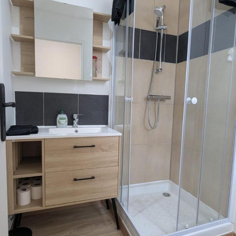 Studio deux personnes Vichy centre Avec la climatisation Parking gratuit et privé - Standard Studio - 3