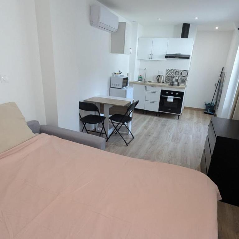 Studio deux personnes Vichy centre Avec la climatisation Parking gratuit et privé - Standard Studio - 4