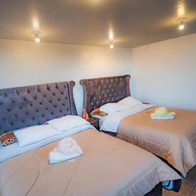 El Mirador del Inka guest house - Standard Twin Room with Mountain View - 5
