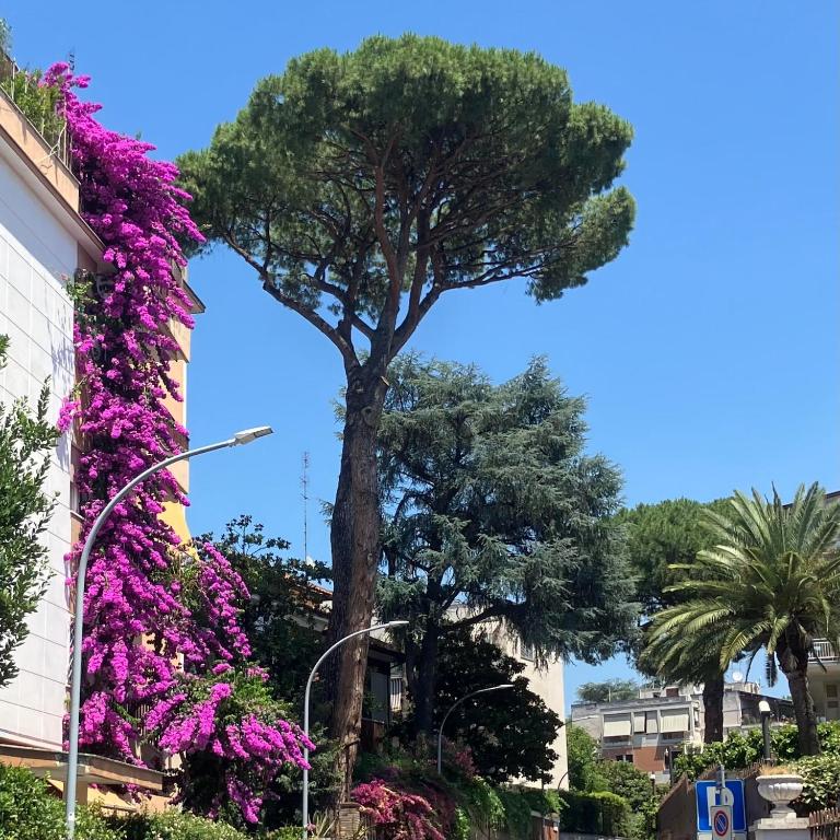 Tra Villini e Giardini - Montesacro - Appartamento con 1 Camera da Letto - 29
