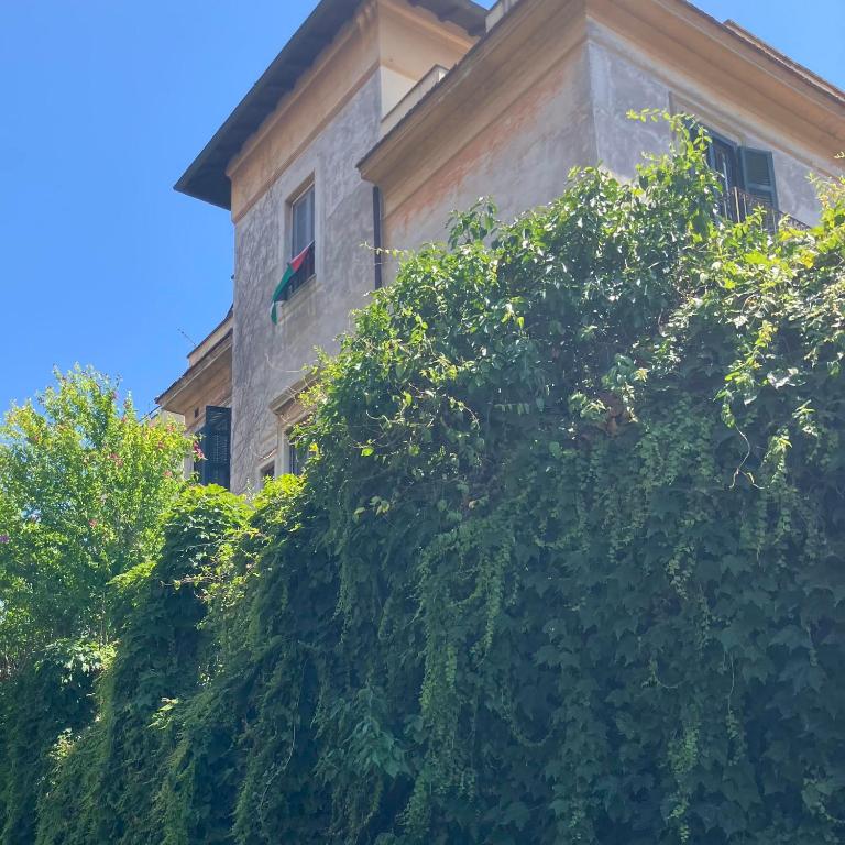 Tra Villini e Giardini - Montesacro - Appartamento con 1 Camera da Letto - 30