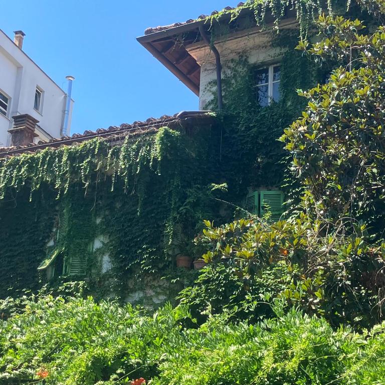 Tra Villini e Giardini - Montesacro - Appartamento con 1 Camera da Letto - 37