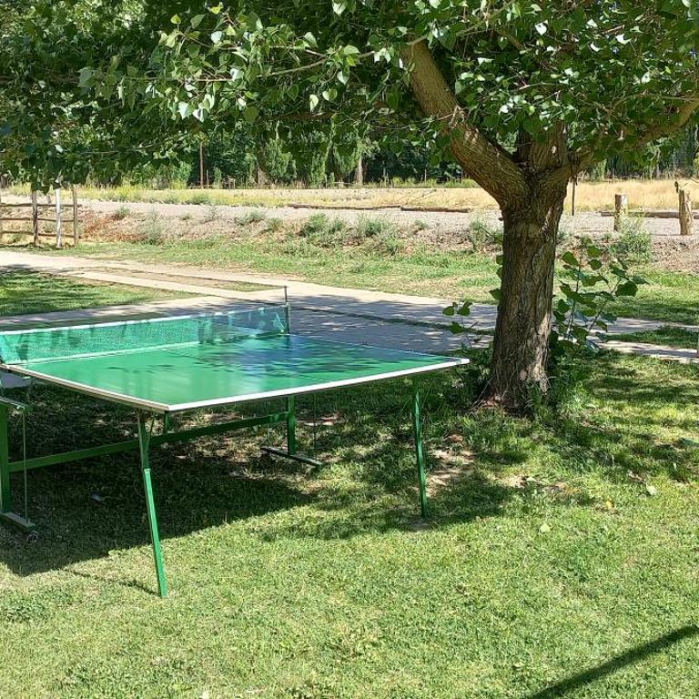 Cabañas Uspallata Posada del Valle - Apartamento de 3 dormitorios - 2