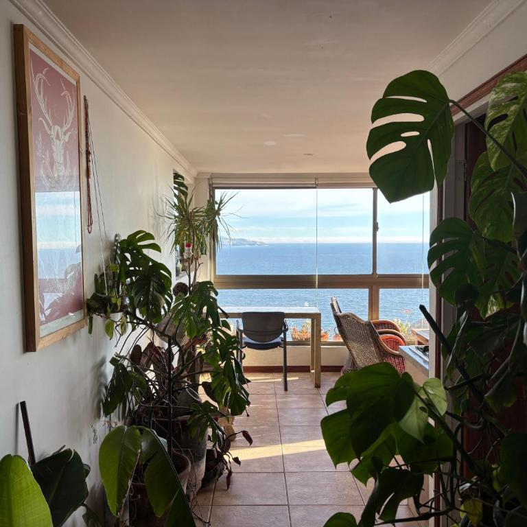 Departamento en Reñaca con hermosa vista al Mar - Apartamento de 2 dormitorios - 4