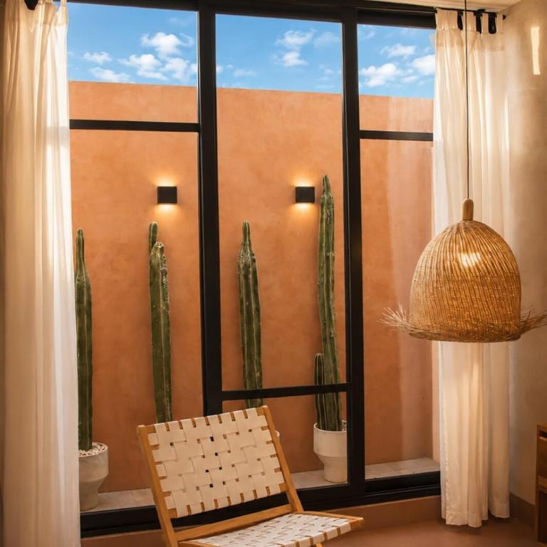 Ciruelo Tuyo - Apartamento de 1 dormitorio - 3