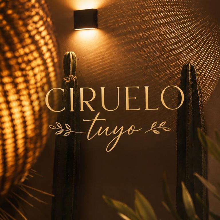 Ciruelo Tuyo - Apartamento de 1 dormitorio - 15